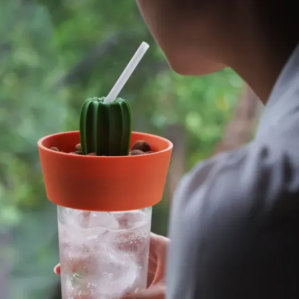 Kaktus Snackschale + Glas Abdeckung CACNUTS orange-grün