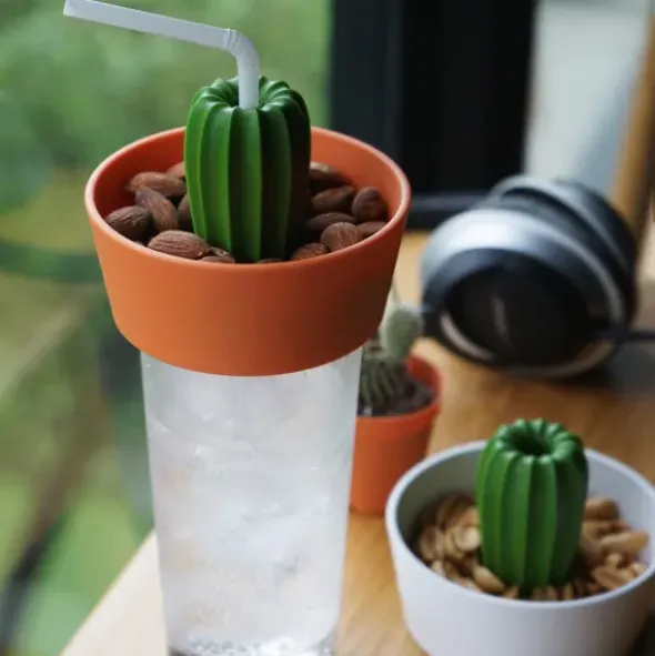 Kaktus Snackschale + Glas Abdeckung CACNUTS orange-grün