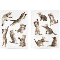 Katzen Magnete 12er-Set