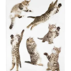 Katzen Magnete 12er-Set