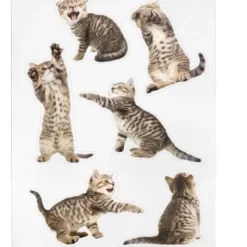 Katzen Magnete 12er-Set