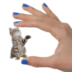 Katzen Magnete 12er-Set