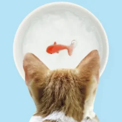 Katzennapf Goldfisch Pet Bowl
