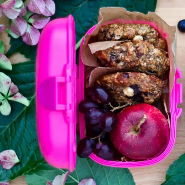 Kinderlunchbox blau 600 ml mit wechselbaren Tiermotiven