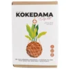 Kokedama DIY-Set