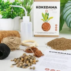 Kokedama DIY-Set