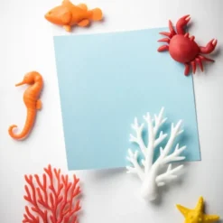 Korallen Magnete OCEAN ECOLOGY 6er-Set