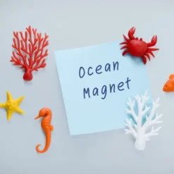 Korallen Magnete OCEAN ECOLOGY 6er-Set