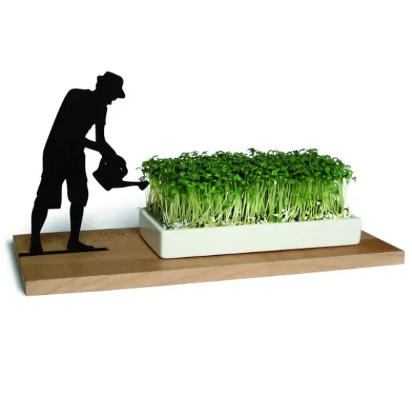 Kresseschale Gärtner – Porzellanschale auf Holzbrett für Kresse & Microgreens