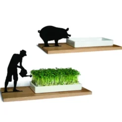 Kresseschale Gärtner – Porzellanschale auf Holzbrett für Kresse & Microgreens