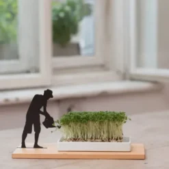 Kresseschale Gärtner – Porzellanschale auf Holzbrett für Kresse & Microgreens