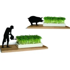 Kresseschale Gärtner – Porzellanschale auf Holzbrett für Kresse & Microgreens