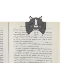 Lesezeichen Katze magnetisch auf Geschenkkarte, grau-getigerte Katze KITTY