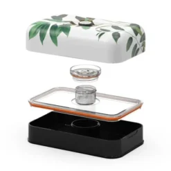 Lunchbox ALL-IN-1 SET - TIVOLI (Olivenblätter)