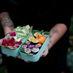 Lunchbox MB ORIGINAL Bento Box, jungle