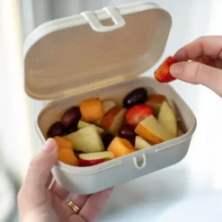 Lunchbox PASCAL S sand - ORGANIC bio-circular