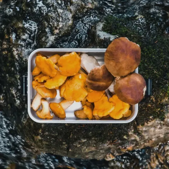 Lunchbox PLUS S 0,75 l silber