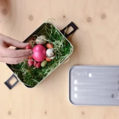 Lunchbox PLUS S 0,75 l silber