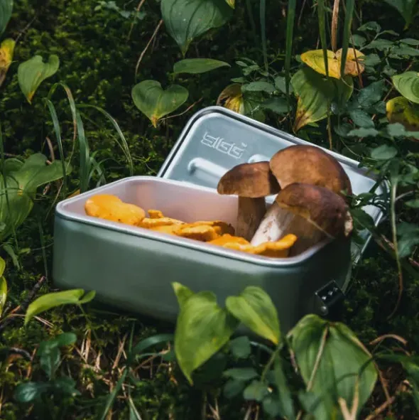 Lunchbox PLUS S 0,75 l silber
