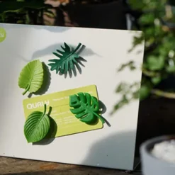 Magnete TROPICAL Blätter 4er-Set