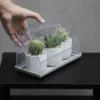 Micro Greenhouse - Mini Gewächshaus / Anzuchthaus