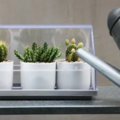 Micro Greenhouse - Mini Gewächshaus / Anzuchthaus