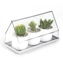 Micro Greenhouse - Mini Gewächshaus / Anzuchthaus