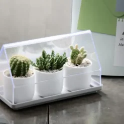 Micro Greenhouse - Mini Gewächshaus / Anzuchthaus