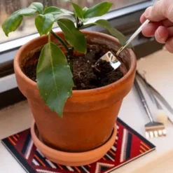 Mini Pflanzwerkzeug Set aus Edelstahl - Mini Garden Tools 4-teilig