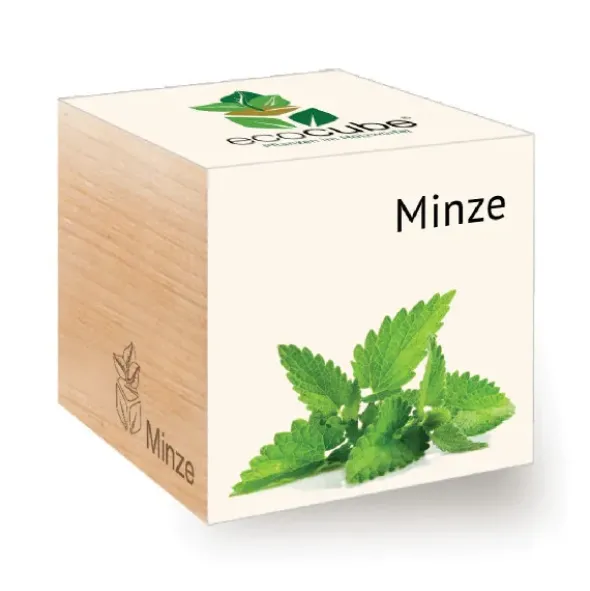 Minze ecocube, Pflanze im Holzwürfel