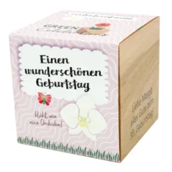 Orchideenbaum im Holzwürfel - Geburtstag, personalisiert