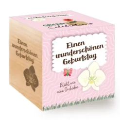 Orchideenbaum im Holzwürfel - Geburtstag