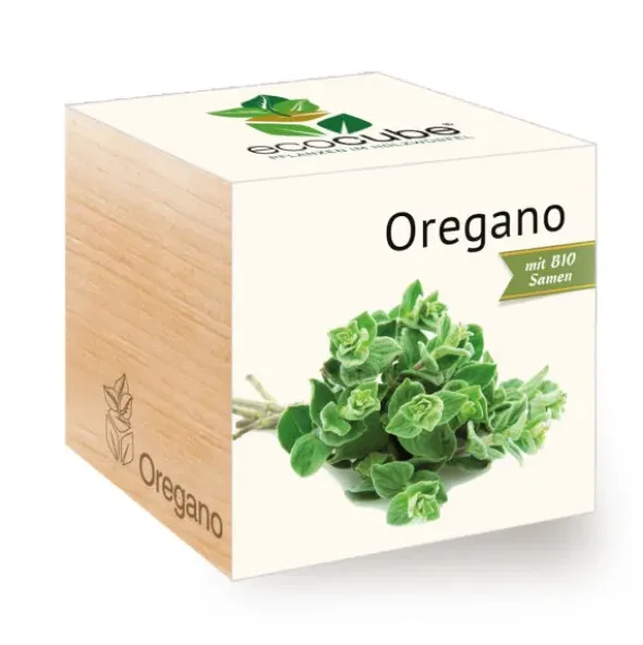 Oregano ecocube, Pflanze im Holzwürfel