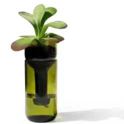 Pflanzgefäß selbstbewässernd aus Glas grün - self watering bottle mit Wasserresservoir & Dochtbewässung