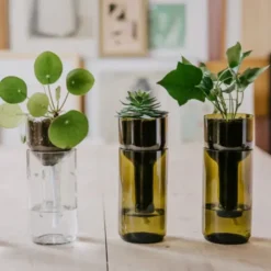 Pflanzgefäß selbstbewässernd aus Glas grün - self watering bottle mit Wasserresservoir & Dochtbewässung