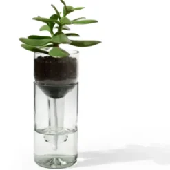 Pflanzgefäß selbstbewässernd aus Glas transparent - self watering bottle mit Wasserresservoir & Dochtbewässung