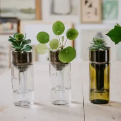 Pflanzgefäß selbstbewässernd aus Glas transparent - self watering bottle mit Wasserresservoir & Dochtbewässung