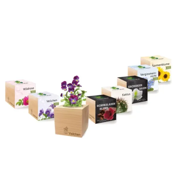 Pflanzwürfel Chili Tabasco mit persönlicher Gravur