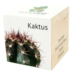 Pflanzwürfel Kaktus mit persönlicher Gravur