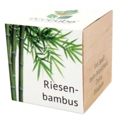 Pflanzwürfel Riesenbambus mit persönlicher Gravur