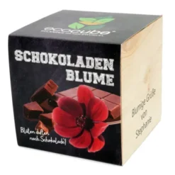 Pflanzwürfel Schokoladenblume mit persönlicher Gravur