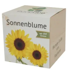 Pflanzwürfel Sonnenblume mit persönlicher Gravur