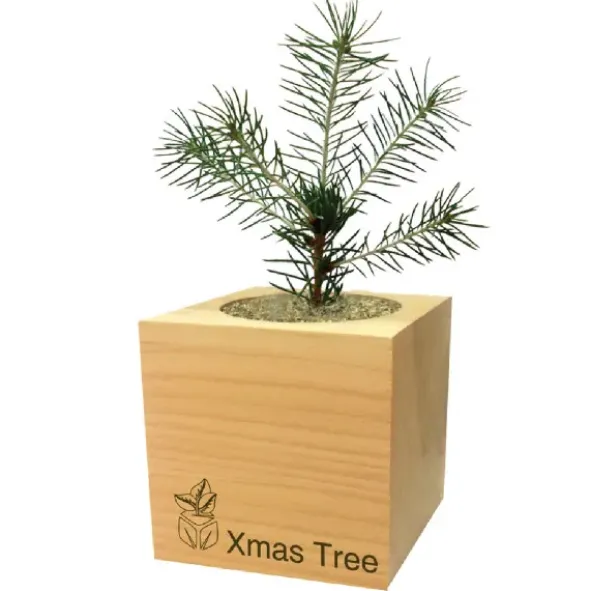 Pflanzwürfel Tannenbaum Merry Christmas 2 mit persönlicher Gravur