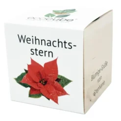 Pflanzwürfel Weihnachtsstern mit persönlicher Gravur