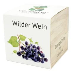 Pflanzwürfel Wilder Wein mit persönlicher Gravur