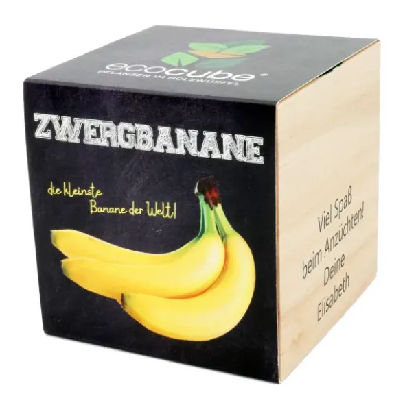 Pflanzwürfel Zwergbanane mit persönlicher Gravur