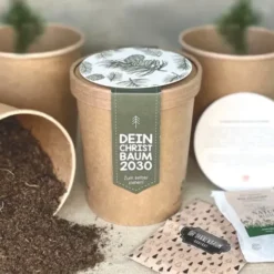 Pott groß zum Aussäen Tannenbaum - Dein Christbaum 2030