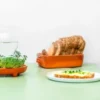 Saatgut Starter Set - PATELLA CRESCENDA, 6 gesunde Microgreens