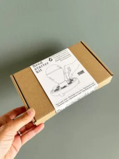 Saatgut Starter Set - PATELLA CRESCENDA, 6 gesunde Microgreens