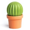 Salz- und Pfefferstreuer Cactus